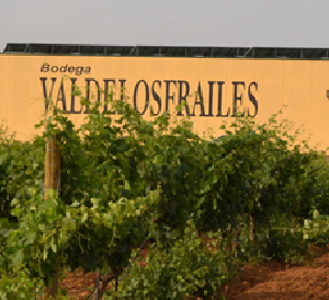 Bodega VALDELOSFRAILES (Cubillas de Sta Marta, Valladolid)