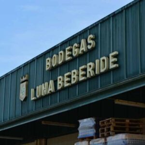 Bodegas y Viñedos LUNA BEBERIDE (Cacabelos, León)