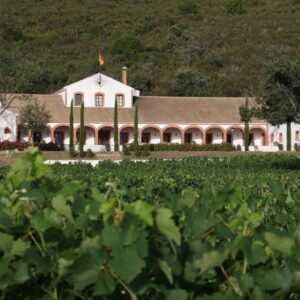Bodega PAGO DEHESA DEL CARRIZAL (Retuerta del Bullaque-Ciudad Real)