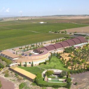 Bodega PAGO DEL VICARIO (Las Casas-Ciudad Real)