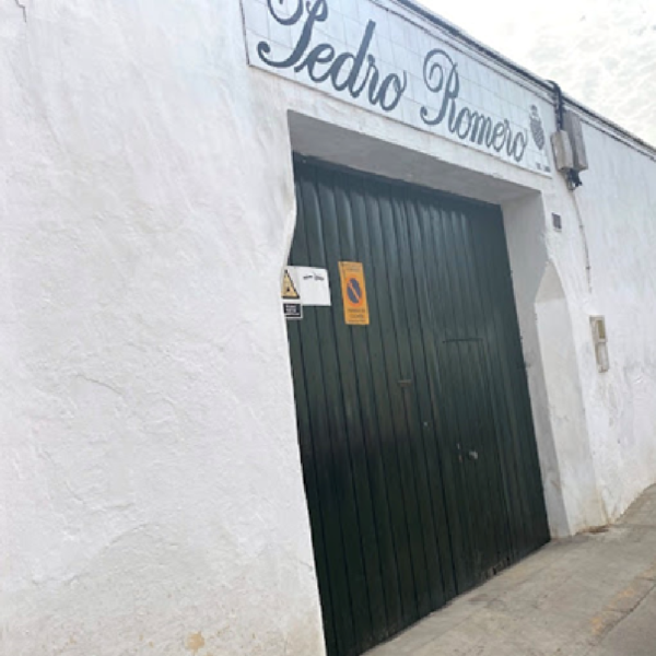 Bodegas ALONSO (Sanlúcar de Barrameda, Cádiz)