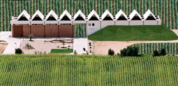 Bodegas y Viñedos LLEIROSO (Valbuena de Duero, Valladolid)