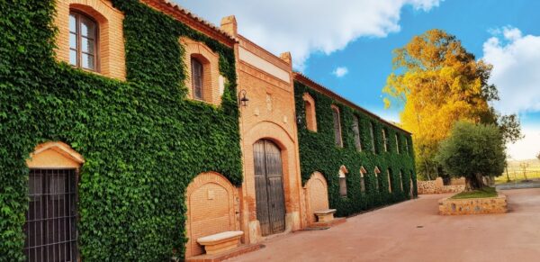 Bodega ENCOMIENDA DE CERVERA (Almagro, Ciudad Real)