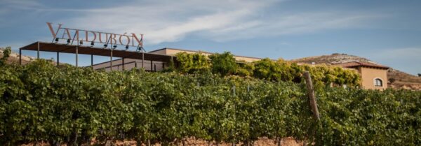 Bodegas VALDUBÓN (Milagros, Burgos)