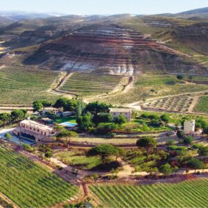 Bodega PAGO DE CALZADILLA (Huete, Cuenca).
