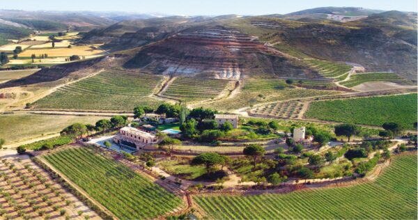 Bodega PAGO DE CALZADILLA (Huete, Cuenca).