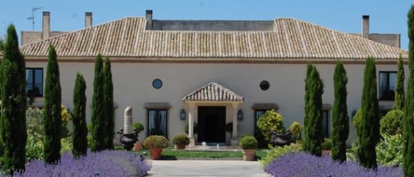 Bodega PAGO CAMPO DE LA GUARDIA-Bodega MARTÚE (La Guardia, Toledo).