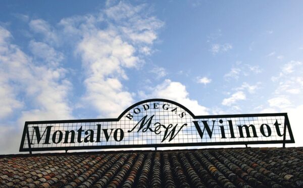 Bodegas MONTALVO WILMOT- 'PAGO LOS CERRILLOS' (Argamasilla de Alba, Ciudad Real)