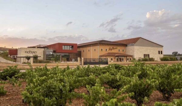 Viñedos y Bodegas GARCÍA FIGUERO, (La Horra, Burgos)