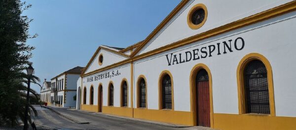 Bodega PAGO VALDESPINO-Grupo JOSÉ ESTEVEZ (Jerez de la Frontera)