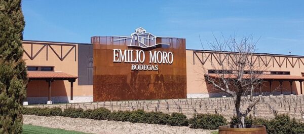 Bodegas EMILIO MORO, (Pesquera de Duero, Valladolid)