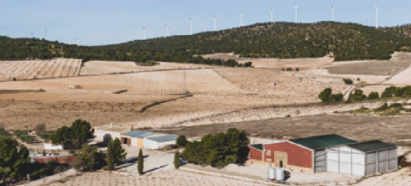Viñedos y Bodegas XENYSEL (Jumilla, Murcia)