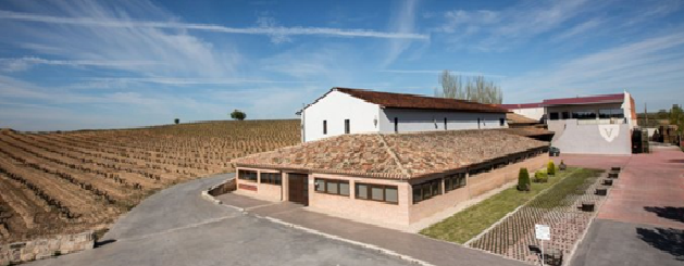 BODEGAS Y VIÑEDOS VALDERIZ (Roa de Duero, Burgos)