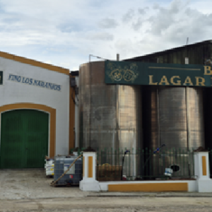 Bodega LAGAR EL MONTE, (Moriles, Córdoba)