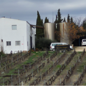 Bodegas HATHOR, (Moriles, Córdoba)