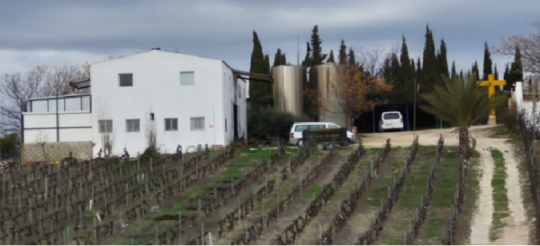 Bodegas HATHOR, (Moriles, Córdoba)