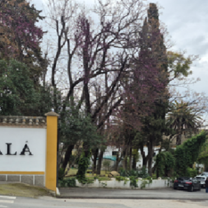 Bodegas TORO ALBALA (Aguilar de la Frontera, Córdoba)