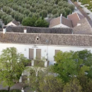 Bodega LAGAR SANTA MAGDALENA (Moriles, Córdoba)