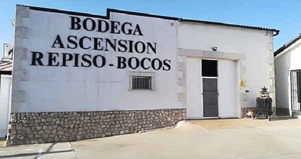 Bodega ASCENSIÓN REPISO, (Pesquera de Duero, Valladolid)