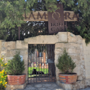 Bodegas CANTAMORA, (Pesquera de Duero, Valladolid)
