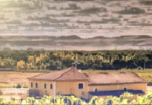 Bodegas VALDECURIEL (Curiel de Duero, Valladolid)
