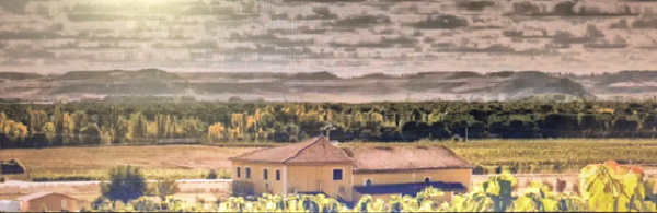Bodegas VALDECURIEL (Curiel de Duero, Valladolid)