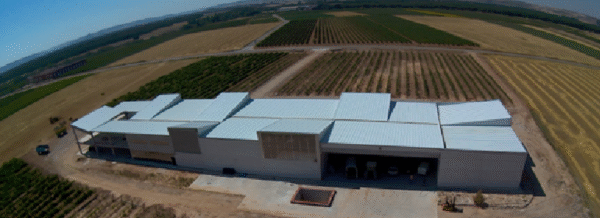 Bodega DOMINIO LUBIANO, (Pesquera de Duero, Valladolid)