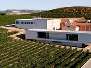 Bodegas CARRAMIMBRE, (Peñafiel, Valladolid)