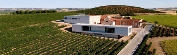 Bodegas CARRAMIMBRE, (Peñafiel, Valladolid)