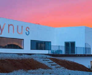 LYNUS VIÑEDOS Y BODEGAS (Quintanilla de Arriba, Valladolid)