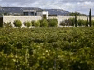 Bodega FINCA RODMA (Quintanilla de Arriba, Valladolid)