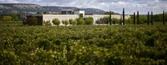 Bodega FINCA RODMA (Quintanilla de Arriba, Valladolid)