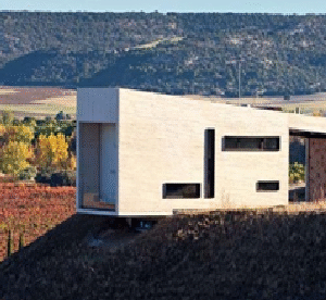 Bodega VALDEMONJAS (Quintanilla de Arriba, Valladolid)
