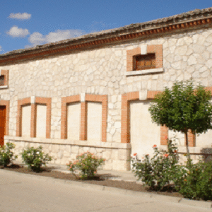 Viñedos y Bodegas RIBÓN, (Quintanilla de Onésimo, Valladolid)