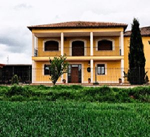 Bodegas y Viñedos VALDRINAL (Aldehorno, Segovia)