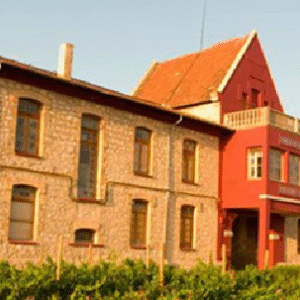 Bodega MARQUÉS DE MONTECIERZO, (Castejón, Navarra)