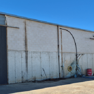 Bodega VIÑA DAMMIS (La Seca, Valladolid)