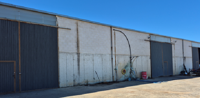 Bodega VIÑA DAMMIS (La Seca, Valladolid)