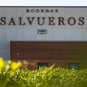 Bodegas SALVUEROS (Mucientes, Valladolid)