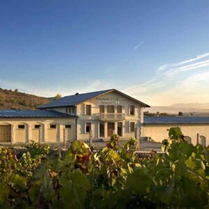Bodegas y Viñedos GODELIA (Pieros-El Bierzo, León)