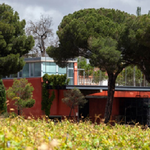 Bodegas LA LEGUA, (Fuensaldaña, Valladolid)
