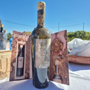 VIÑA DAMMIS CONFIDENCIAL