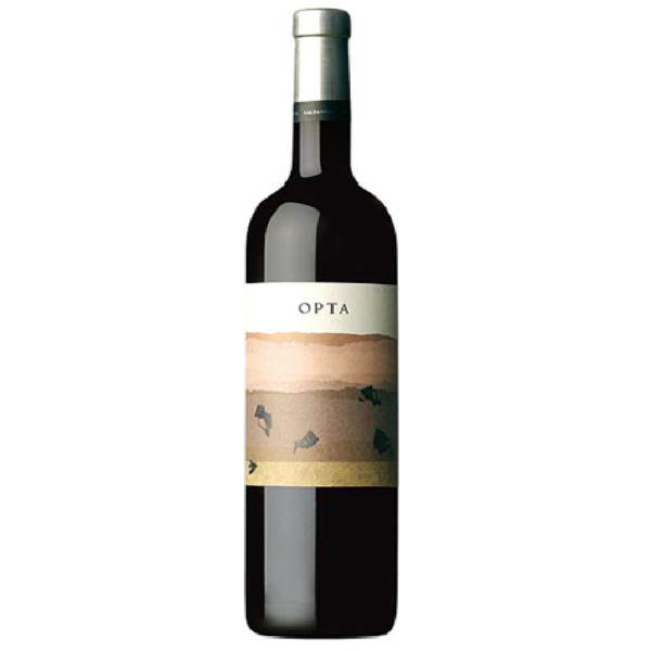 CALZADILLA - OPTA
