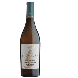 BARBADILLO - SÁBALO BLANCO