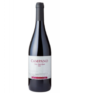 CAMPANO – Tinto Roble