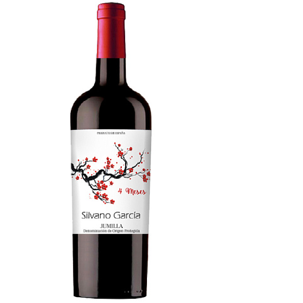 SILVANO GARCÍA – 4 Meses