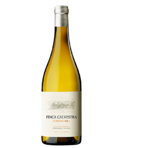 FINCA CALVESTRA