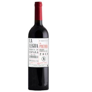 LA LEGUA - PARCELA LA PINTORA