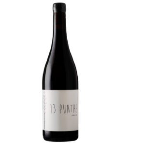 PUNTA DE FLECHA – 13 PUNTAS