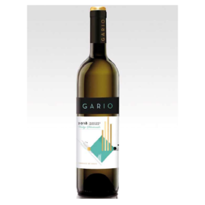 OVIDIO GARCÍA - GARIO VERDEJO